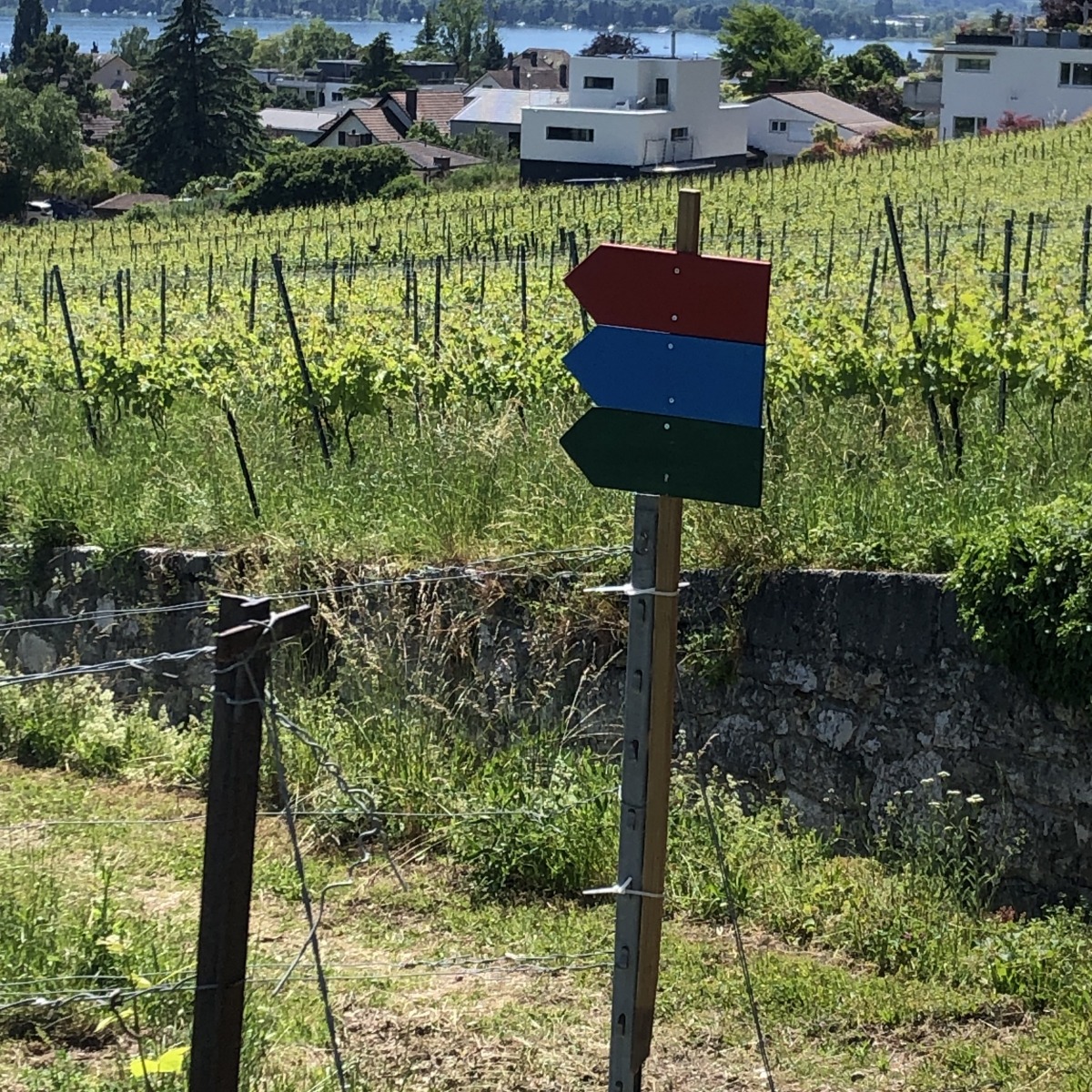19_maupras_haut