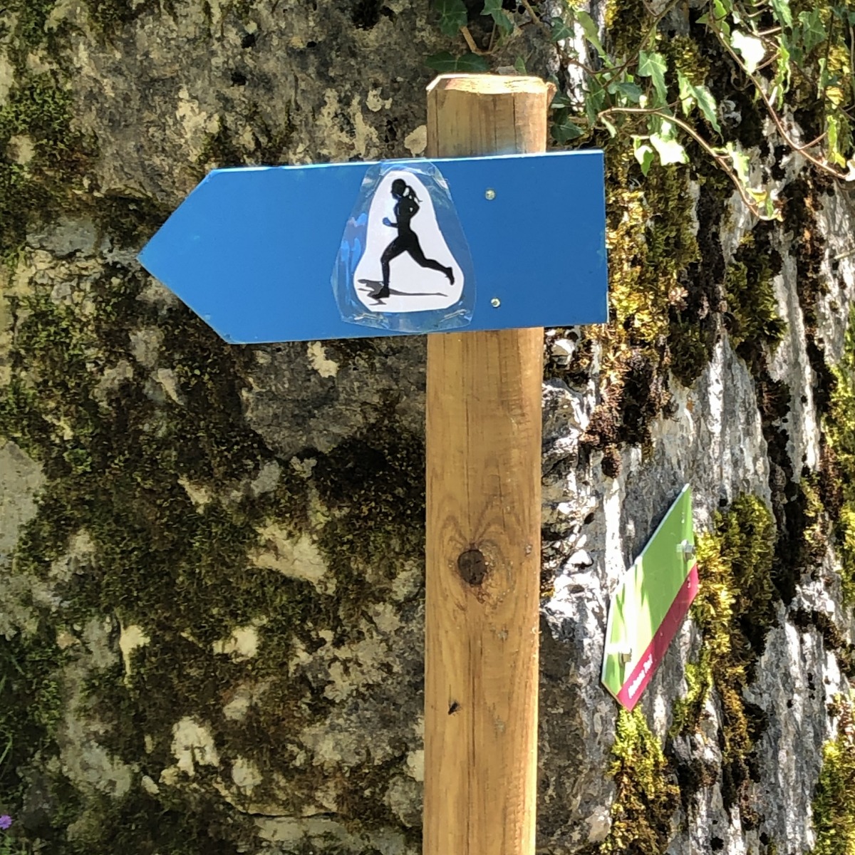 29_cap_fin_sentier